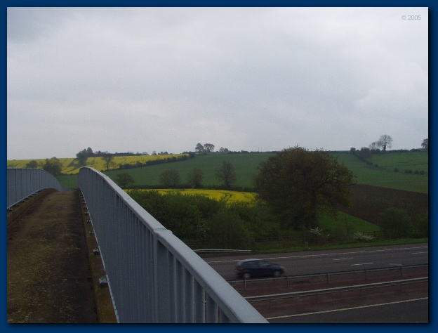 600x449 pixels (80K)